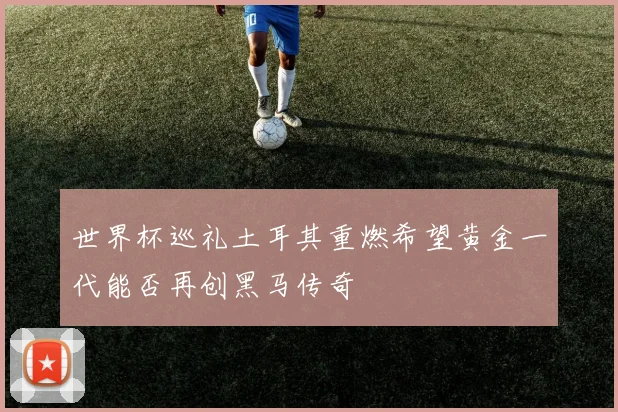 世界杯巡礼土耳其重燃希望黄金一代能否再创黑马传奇